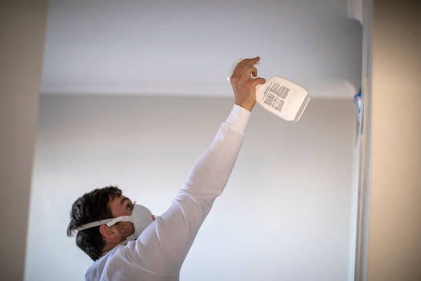Best Mold Cleaning Services  in Mount Juliet, TN