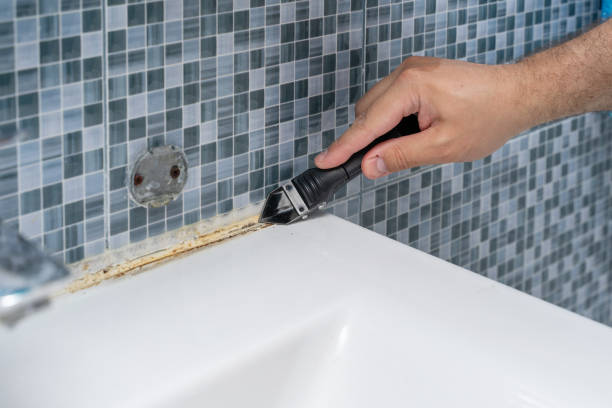 Best Fast Mold Removal  in Mount Juliet, TN
