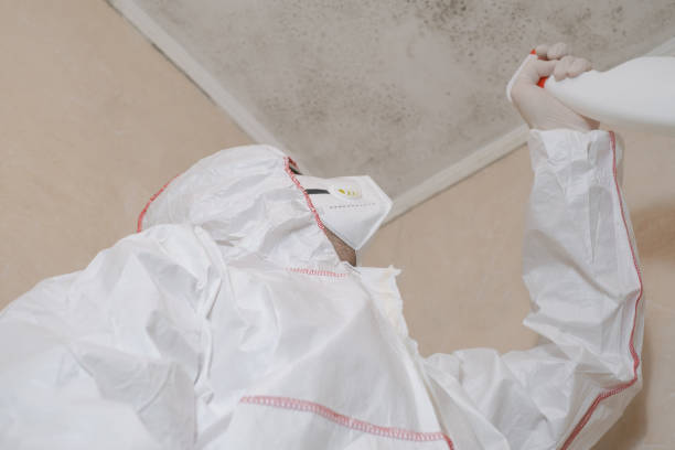 Certified Mold Removal in Mount Juliet, TN